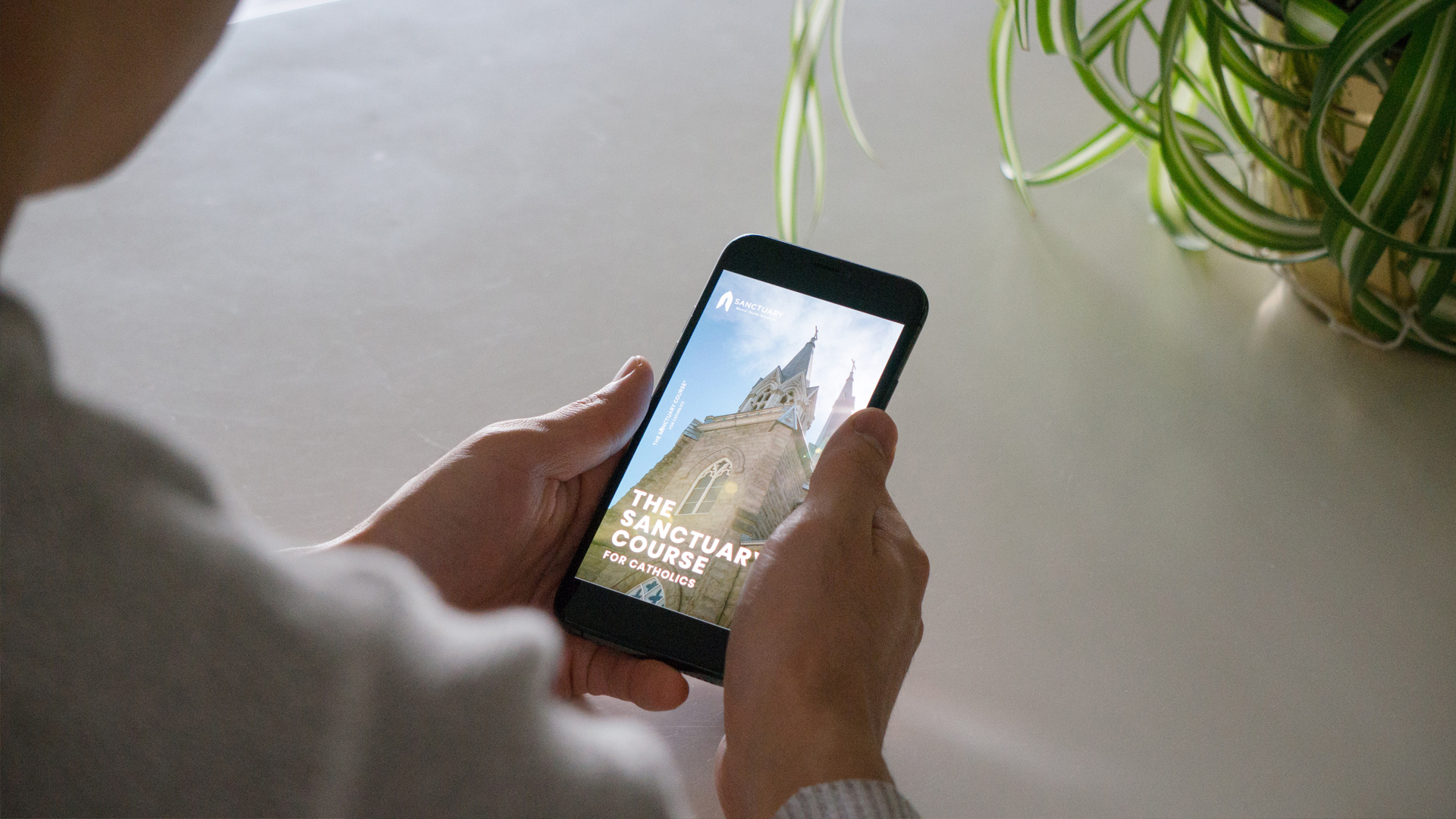 Header image Header image